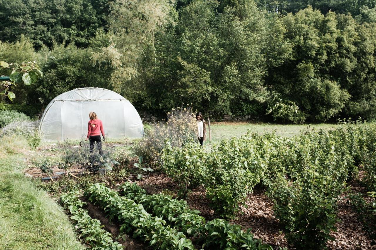 Torre Tanquian Eco Finca - Ribeira Sacra 潘顿 外观 照片