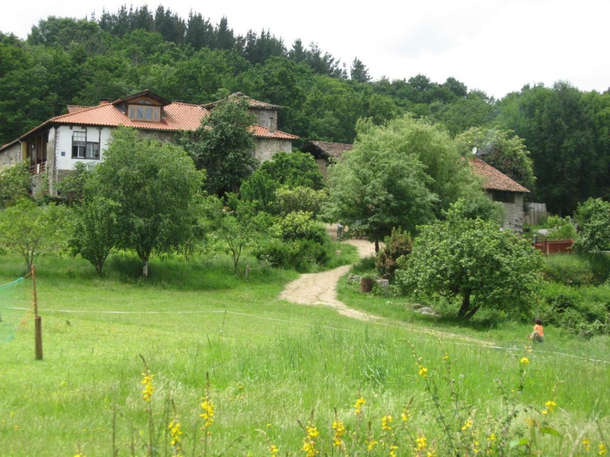 Torre Tanquian Eco Finca - Ribeira Sacra 潘顿 外观 照片